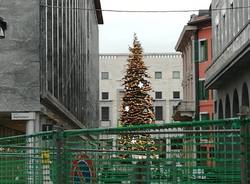 Allestimento albero di Natale 2019 a Varese