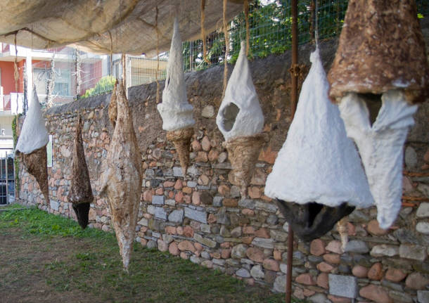 Arte - Mostre