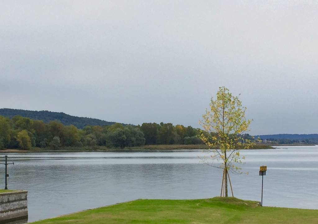 Autunno ad Angera, aspettando il foliage