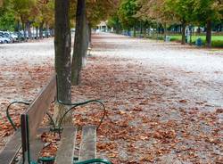 Autunno ad Angera, aspettando il foliage