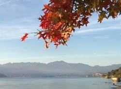 autunno Mariella Letizia Saragoni‎