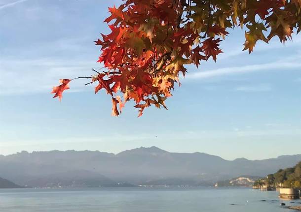 autunno Mariella Letizia Saragoni‎