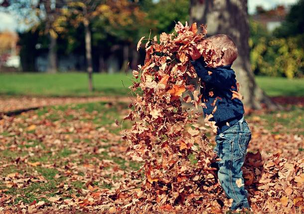 bambini gioco autunno