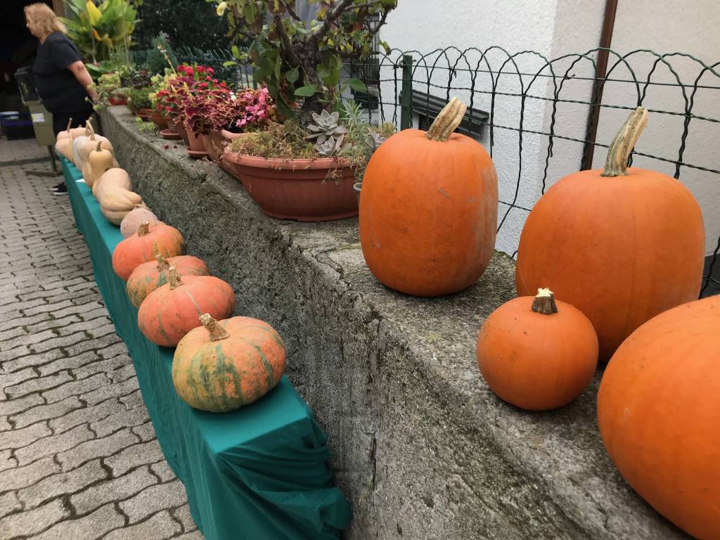 La castagnata in piazza