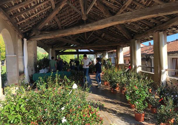 Il fascino delle Camelie a Villa Bozzolo