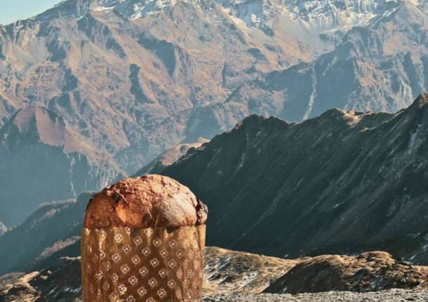 Coppa del Mondo di Panettone 2019