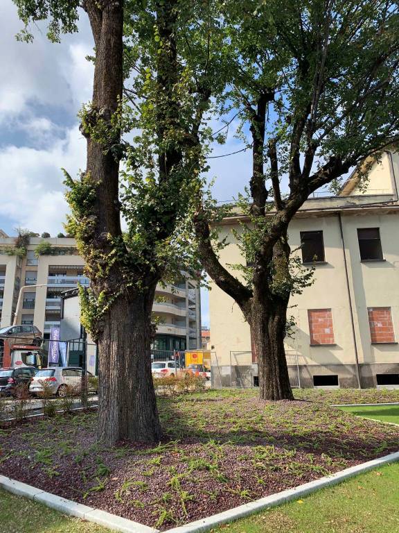 Ex Enel, i lavori procedono: le prime aperture