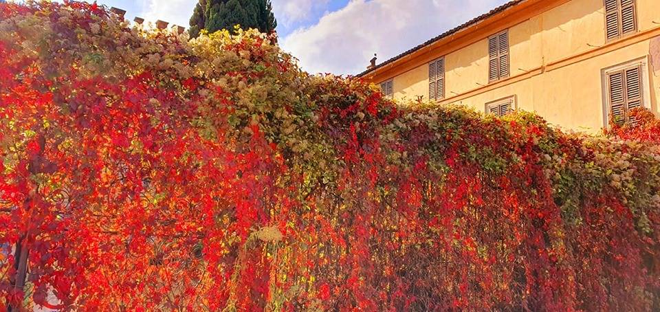 Foliage a Villa Castiglioni - foto di Clara Comolli