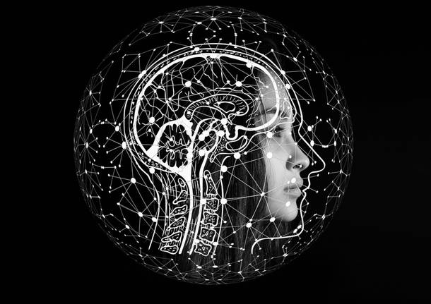 cervello neuroscienze mente persona