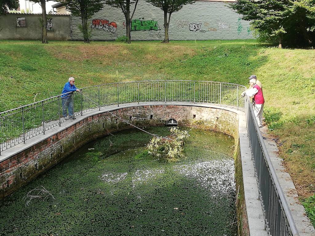 I volontari hanno ripulito il Fontanile, i vandali hanno sporcato di nuovo