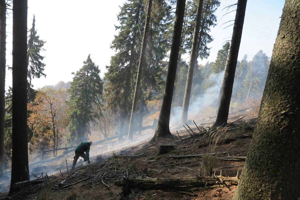 Il campo dei fiori dopo l'incendio