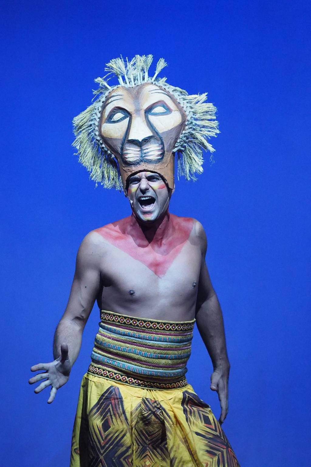 Il Re Leone a teatro