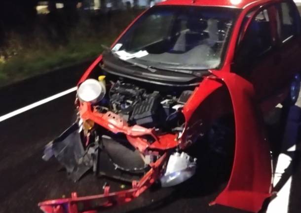 incidente stradale calcinate del pesce