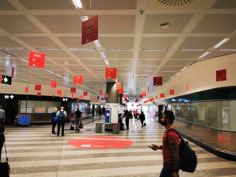 L'ornitottero di Leonardo da Vinci a Malpensa