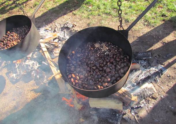 La castagnata della primaria Galilei di Avigno - foto di Michaela Tedde