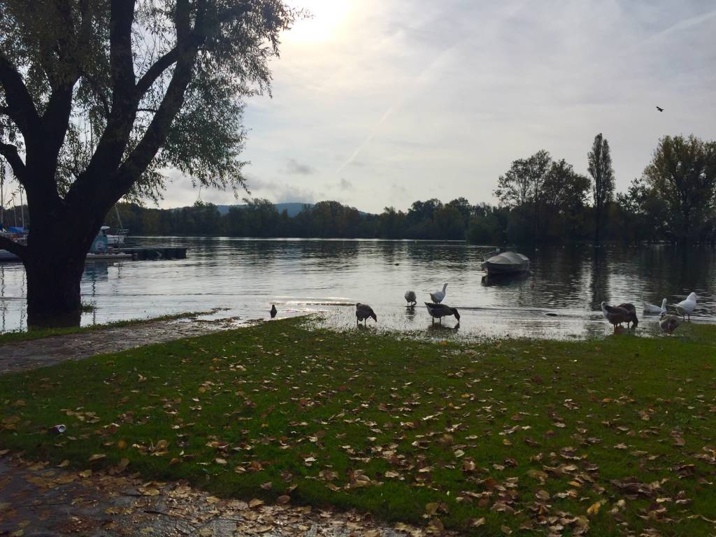 Lago Maggiore, acqua alta ad Angera