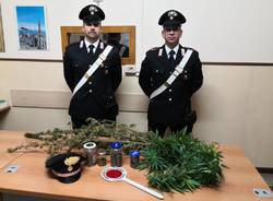 marijuana droga carabinieri