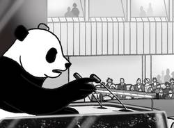 "Now or Never", il telecomunicato del WWF