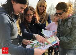 orienteering lipu