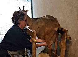 Porto Ceresio - Cà del Monte