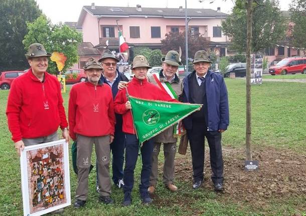 posa albero don vittorione piacenza alpini varese