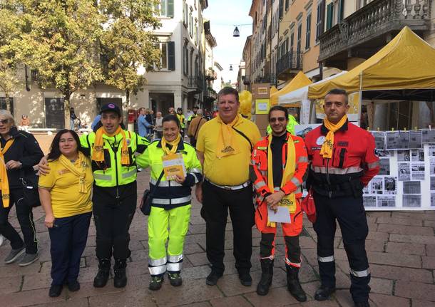 protezione civile io non rischio