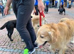 Varese - Cani in passerella per Linea verde Life