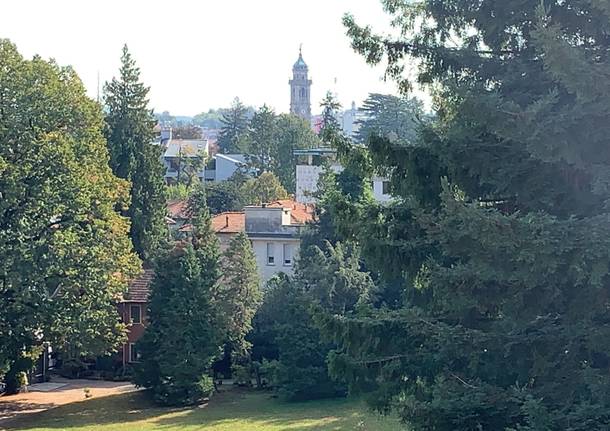 YouGardener Flower show d’autunno: la presentazione
