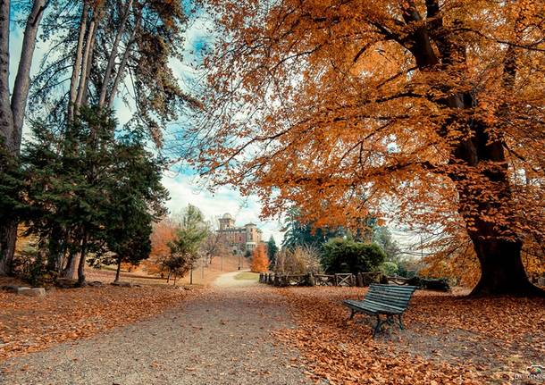 autunno a Villa Toeplitz - foto di Davide Morello