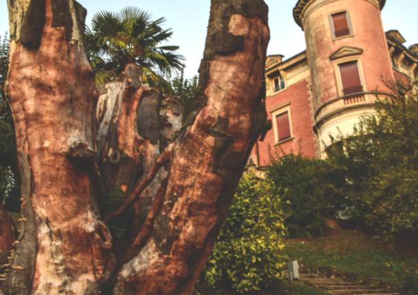 Autunno a Villa Toepliz