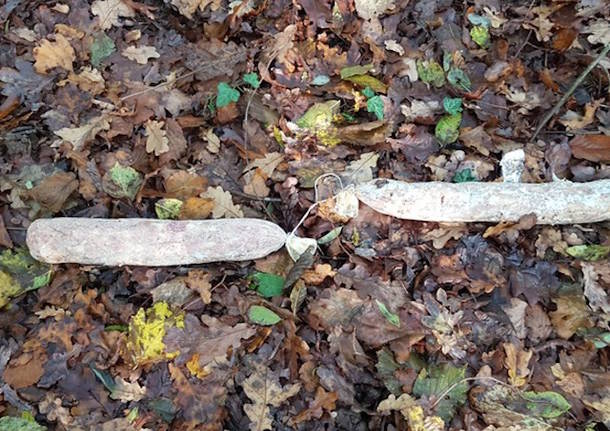 Salami gettati nel bosco a Caravate