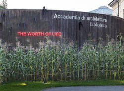 \"Koen Vanmechelen. The Worth of Life 1982-2019\" > OPEN DAY con INGRESSO GRATUITO