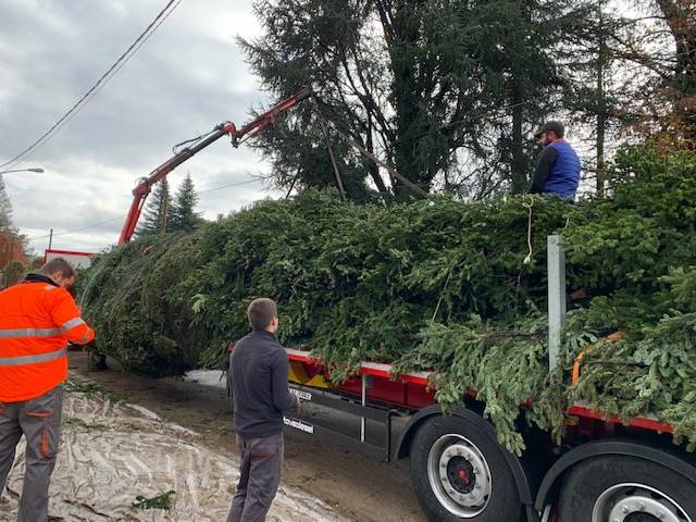 Spelacchio parte alla volta di Roma