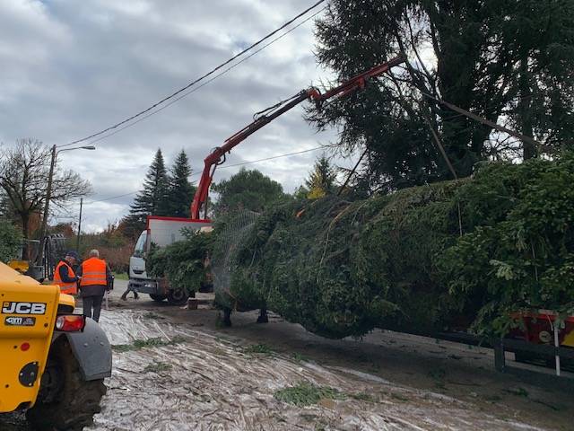 Spelacchio parte alla volta di Roma