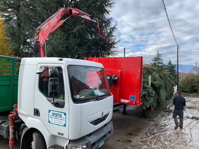 Spelacchio parte alla volta di Roma