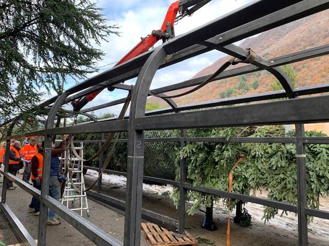 Spelacchio parte alla volta di Roma