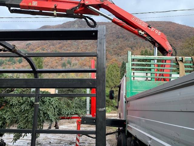 Spelacchio parte alla volta di Roma