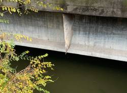 Ponte sul Tresa lungo la statale394, le preoccupazioni del sindaco