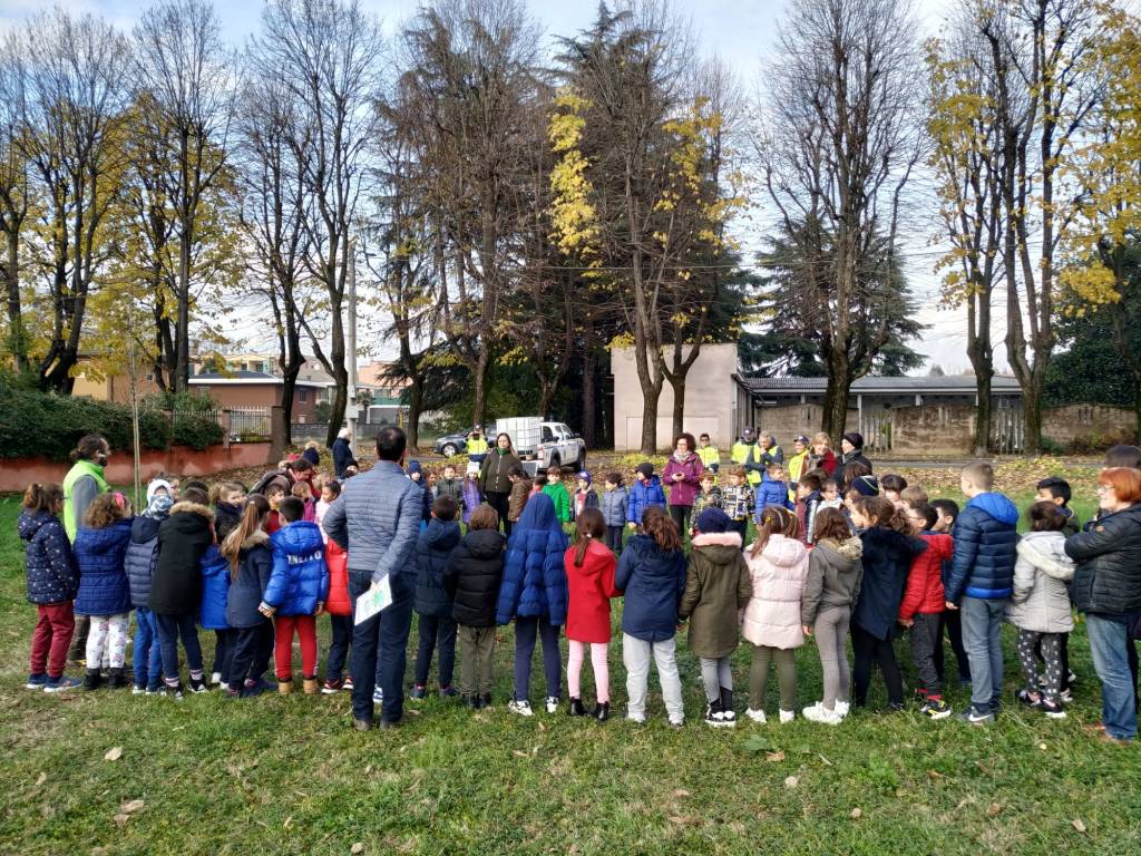 Caronno Pertusella: festa dell’albero con i piccoli della scuola sant’Alessandro