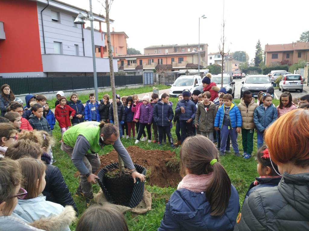 Caronno Pertusella: festa dell’albero con i piccoli della scuola sant’Alessandro