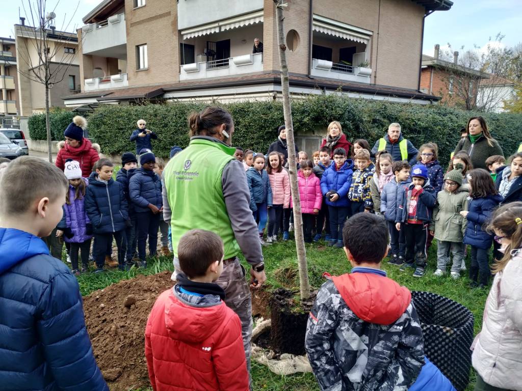 Caronno Pertusella: festa dell’albero con i piccoli della scuola sant’Alessandro