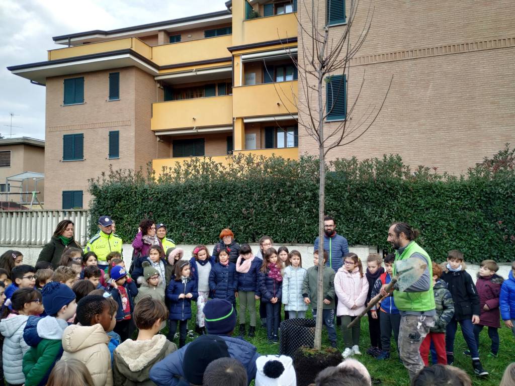 Caronno Pertusella: festa dell’albero con i piccoli della scuola sant’Alessandro