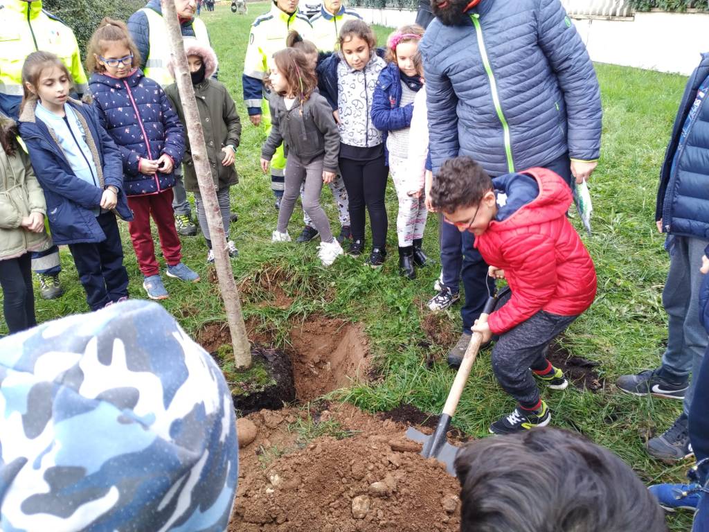 Caronno Pertusella: festa dell’albero con i piccoli della scuola sant’Alessandro