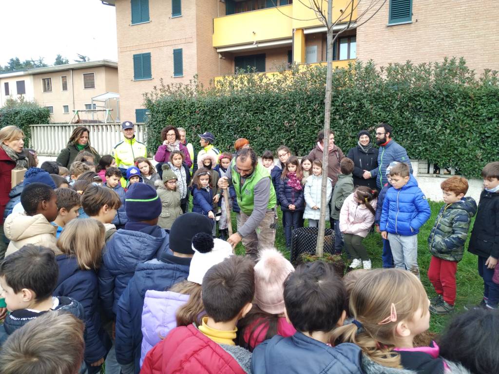 Caronno Pertusella: festa dell’albero con i piccoli della scuola sant’Alessandro