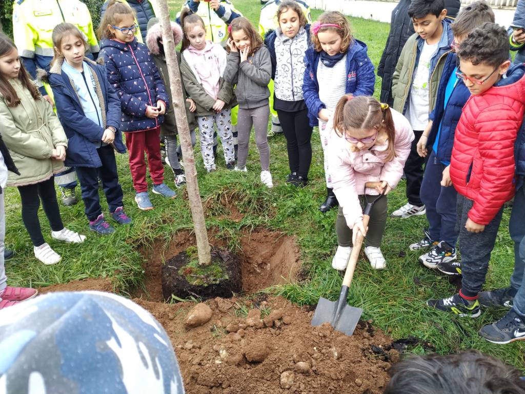 Caronno Pertusella: festa dell’albero con i piccoli della scuola sant’Alessandro