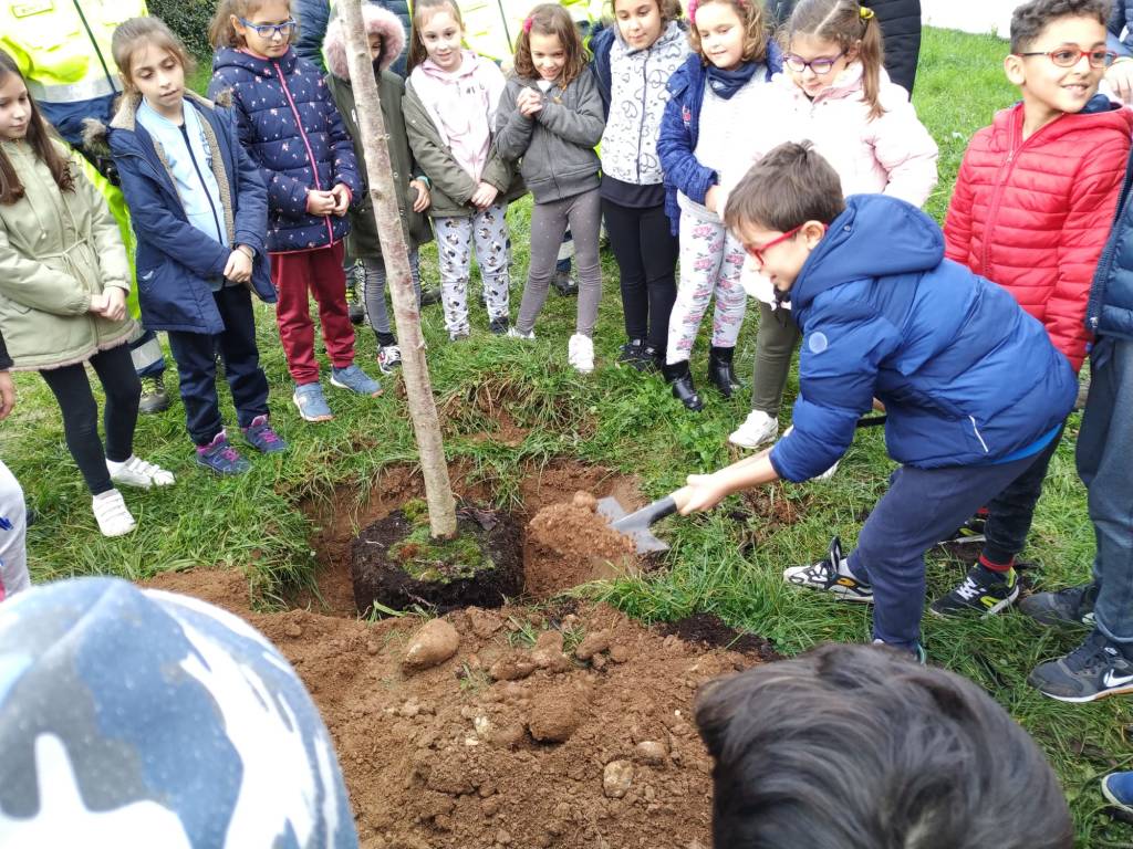 Caronno Pertusella: festa dell’albero con i piccoli della scuola sant’Alessandro