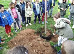 Caronno Pertusella: festa dell’albero con i piccoli della scuola sant’Alessandro