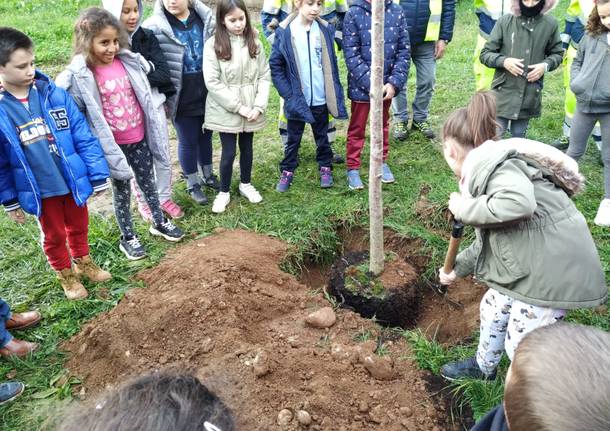 Caronno Pertusella: festa dell’albero con i piccoli della scuola sant’Alessandro