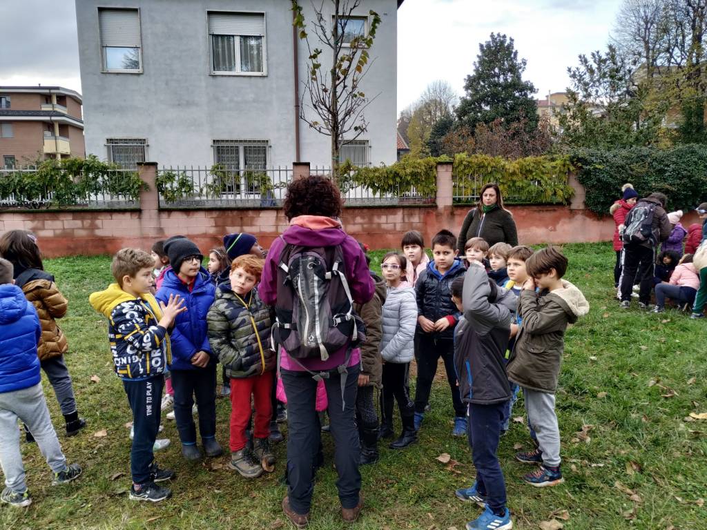 Caronno Pertusella: festa dell’albero con i piccoli della scuola sant’Alessandro
