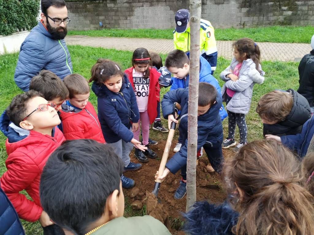 Caronno Pertusella: festa dell’albero con i piccoli della scuola sant’Alessandro